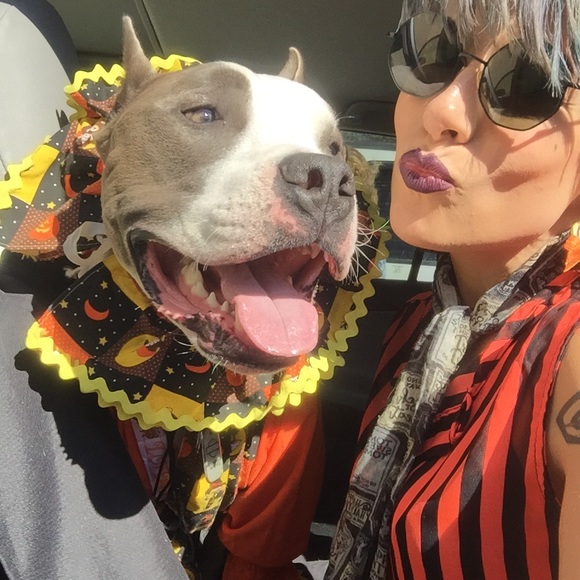 Meet your Posher, Brittany - Picture 2 of 5